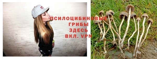 гидропоника Абаза