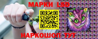 гашик Тулун