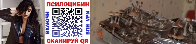 где найти наркотики Рославль Галлюциногенные грибы прущие грибы